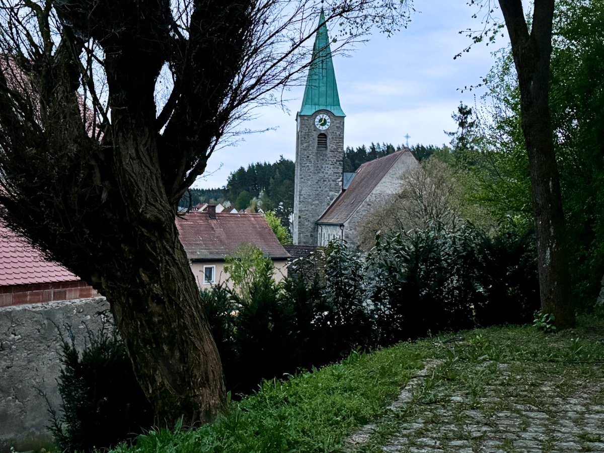 Hecke am Störnsteiner Pumphaus: Sind die „Birla“ für Kinder gefährlich?