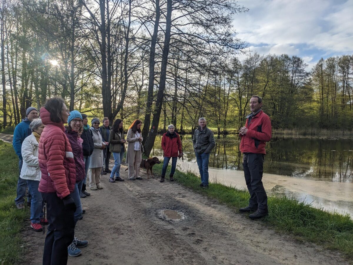 Vogelkonzert am Waldauer Wiegenweiher entzückt Naturliebhaber