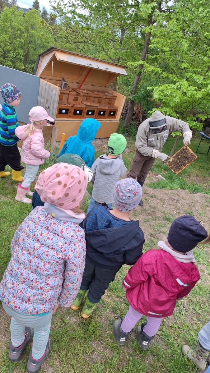 Kinder erleben Bienen hautnah