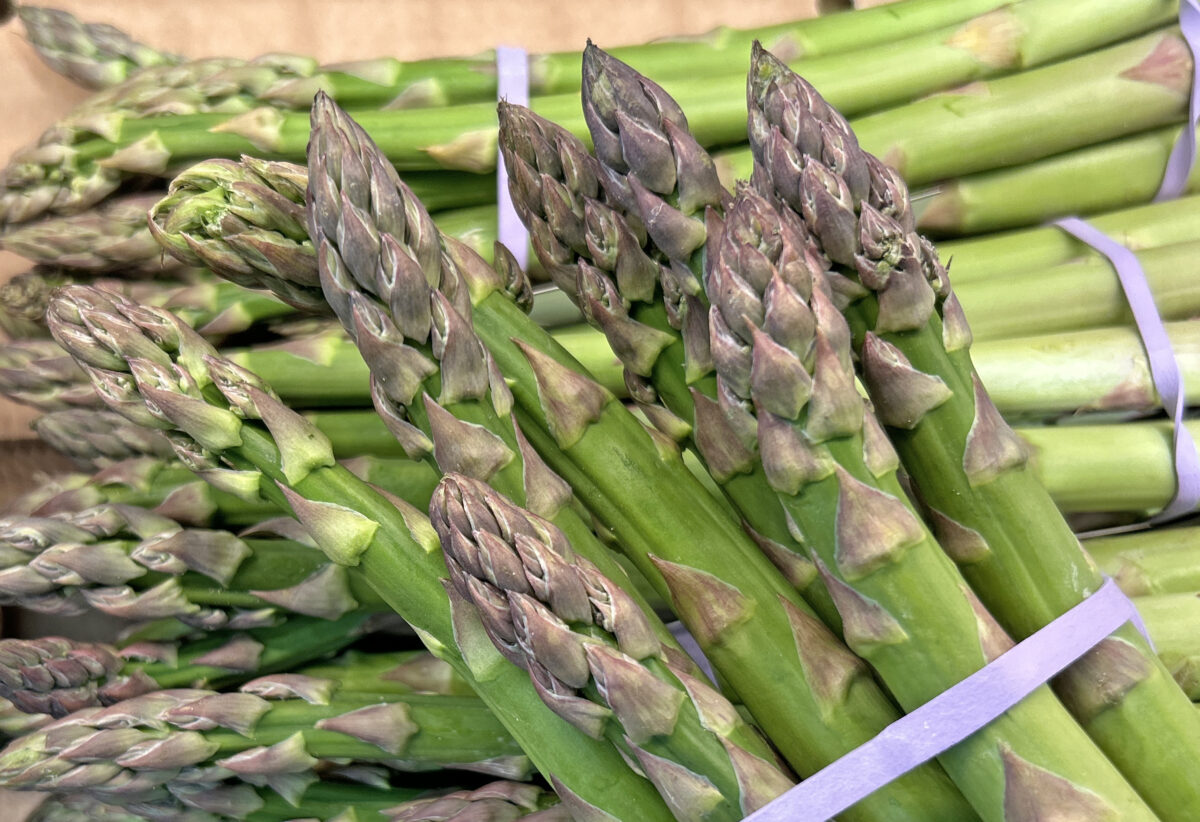 Regional genießen (1): Spargel aus der Oberpfalz