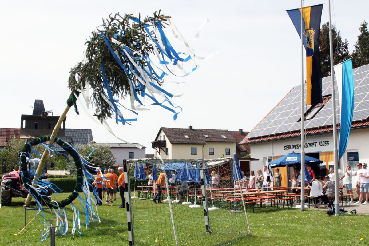 Floß feiert Maibaumfest mit 18-Meter-Baum