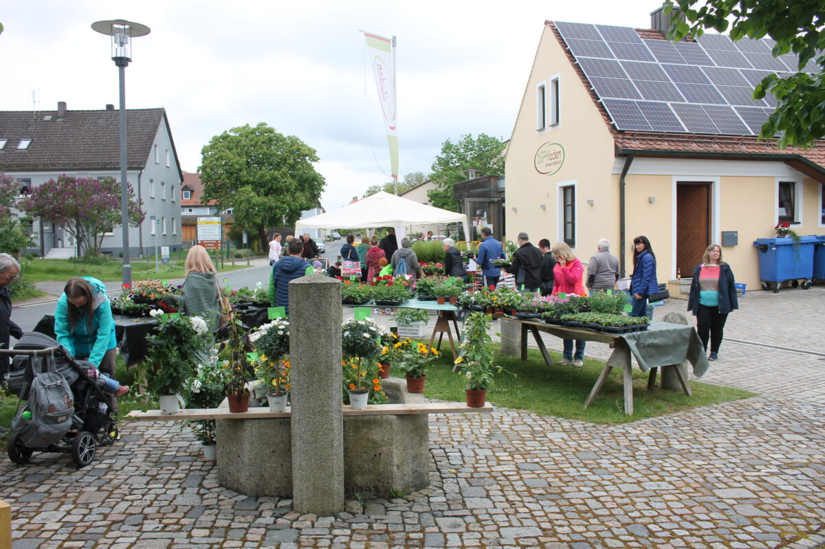 Buntes Blütenmeer beim Schwarzenbacher Blumenmarkt