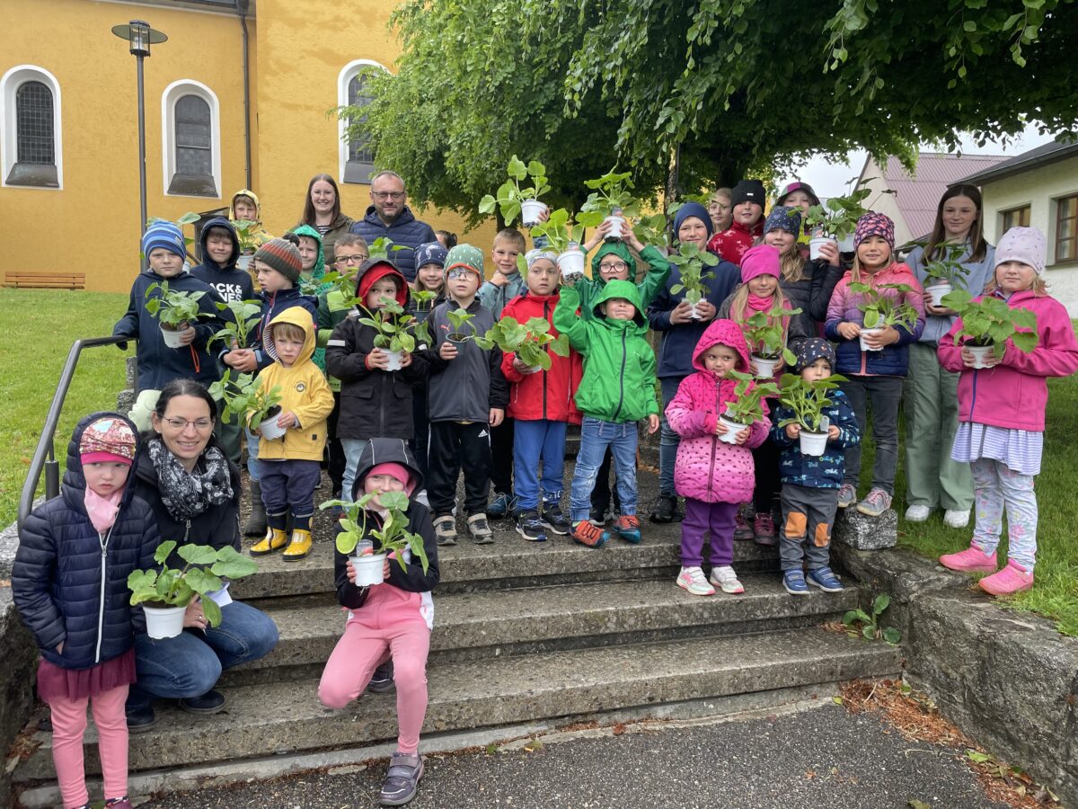 Kleine Gärtnerinnen und Gärtner züchten Kürbisse für Wettbewerb