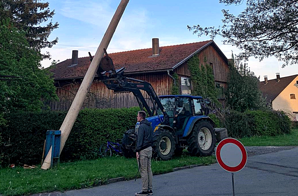 Mallersricht feiert Frühling mit neuem Maibaum