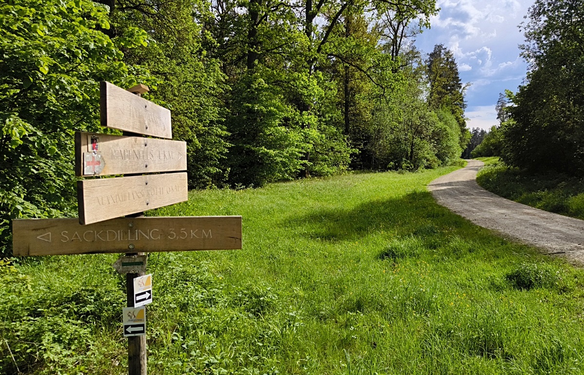 Jahresbetriebsplan und -nachweis für den Bürgerwald Auerbach vorgestellt