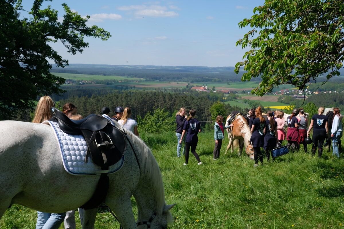 Vatertag am Barbaraberg: 46. Pferdewallfahrt in Speinshart