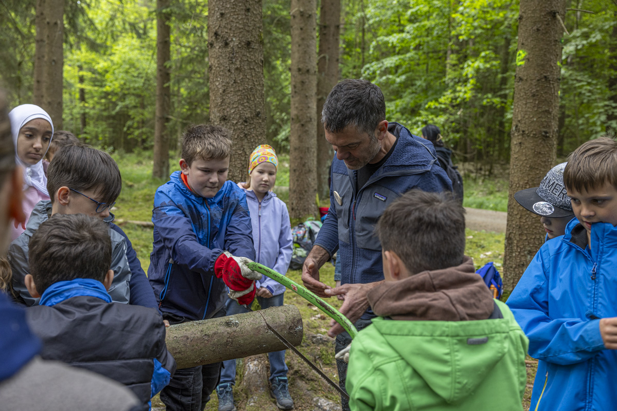 1200 Kinder hatten bei den Waldjugendspielen 2024 viel Spaß in der Natur