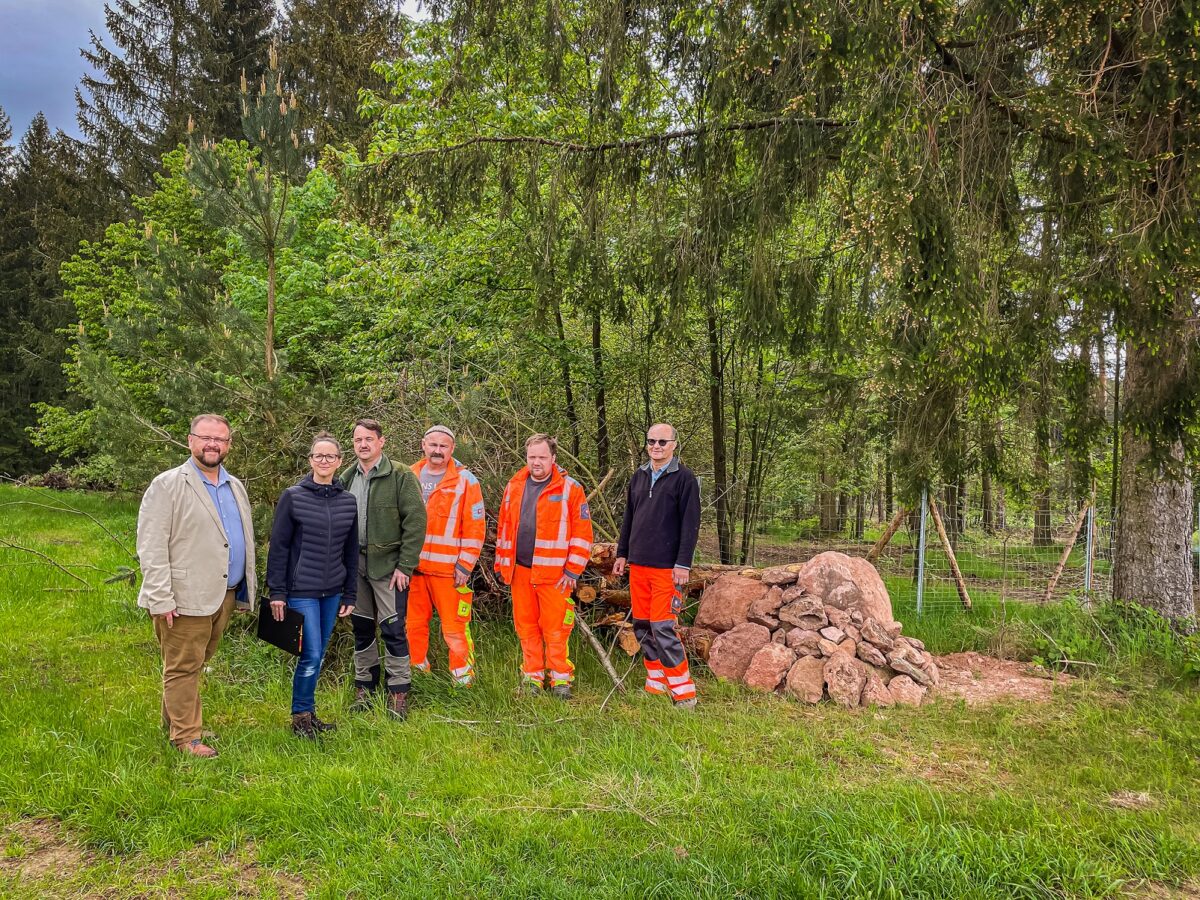 Waldumbau fürs Ökokonto: Gemeinde Kastl realisiert naturnahe Aufforstung