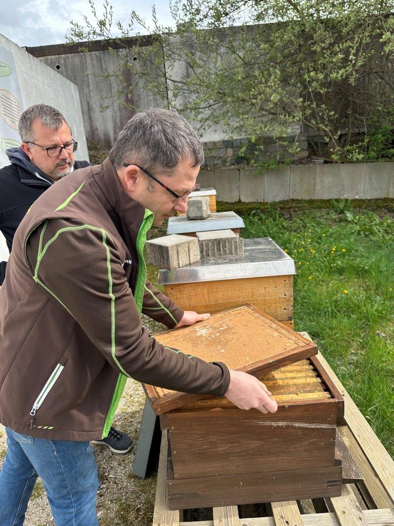 Zukunftsfreundlich: Stadtwerke Amberg unterstützen Bienenzuchtverein