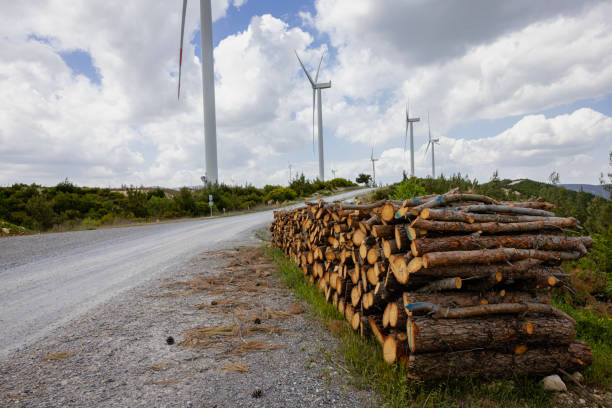 Windräder bleiben Thema in der Gemeinde Theisseil
