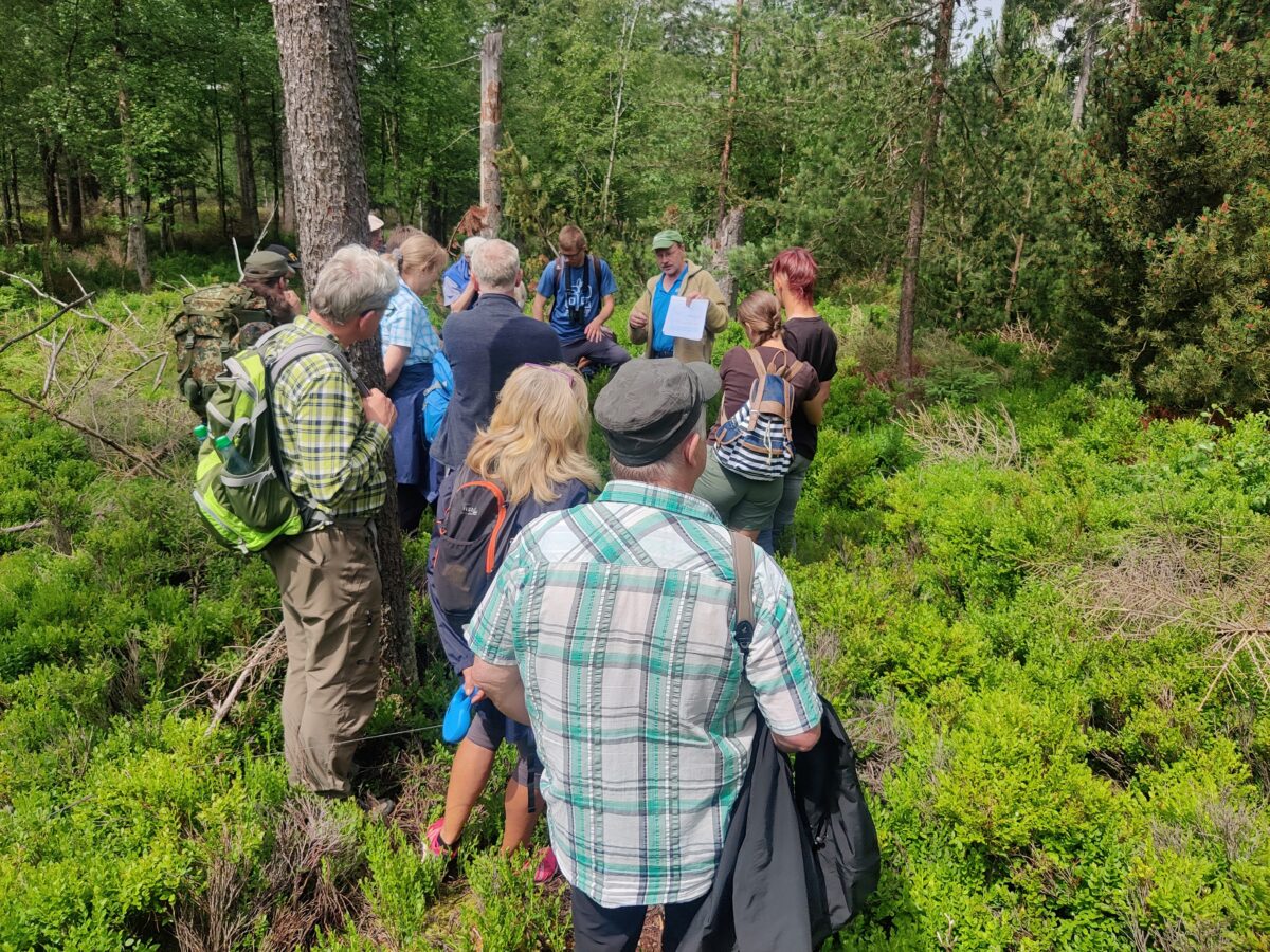 Naturpark Steinwald – das Kleinod vor unserer Haustüre neu entdecken