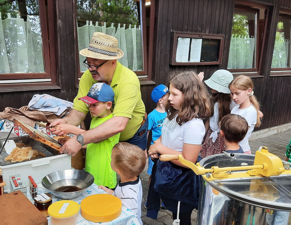 Weiden: Bienenfleiß hautnah beim Imkertag erlebt