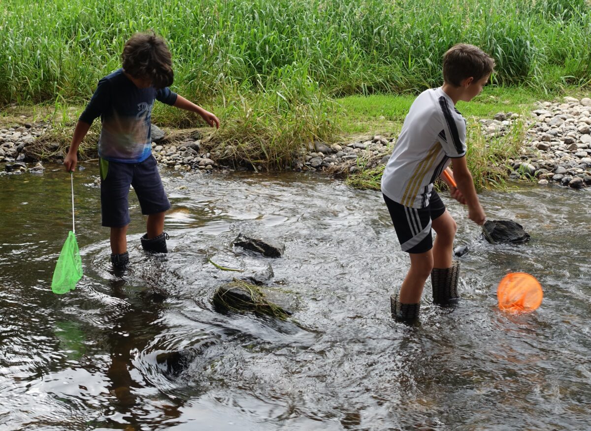 BayernTourNatur – Das „Mittlere Wehr“ in Weiden