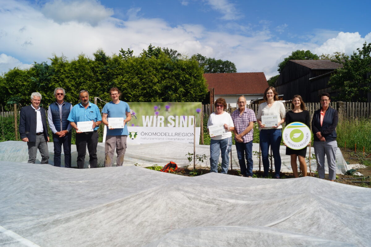 Projektförderung trägt reiche Früchte