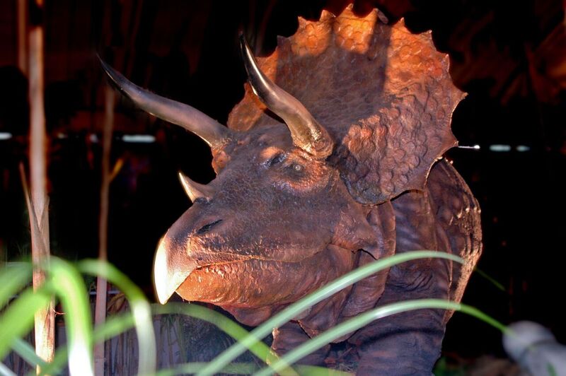 Ausstellung im XXL-Format – Dino-Alarm in Weiden