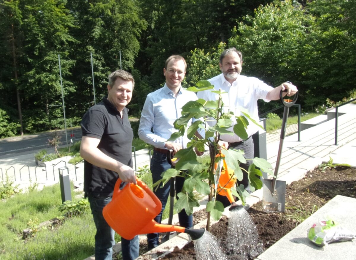 Kulturelle Wurzeln: Bayernfeige für Neustädter Gymnasium