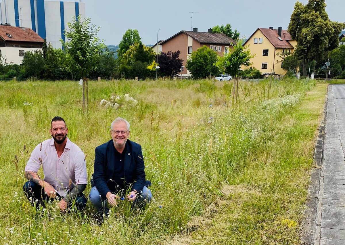 Schwandorf pflegt Grün mit Blick auf Natur und Sicherheit