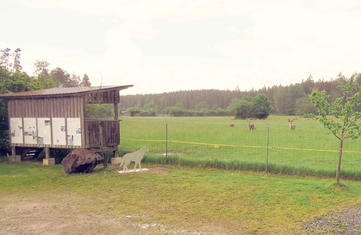 Natur und Landwirtschaft vereint am Grünen Band