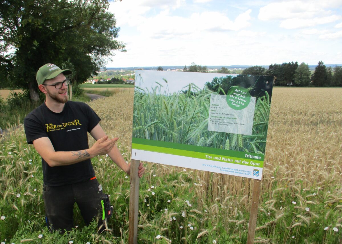 Landwirtschaft erleben: Infopfad zwischen Weiden und Tröglersricht