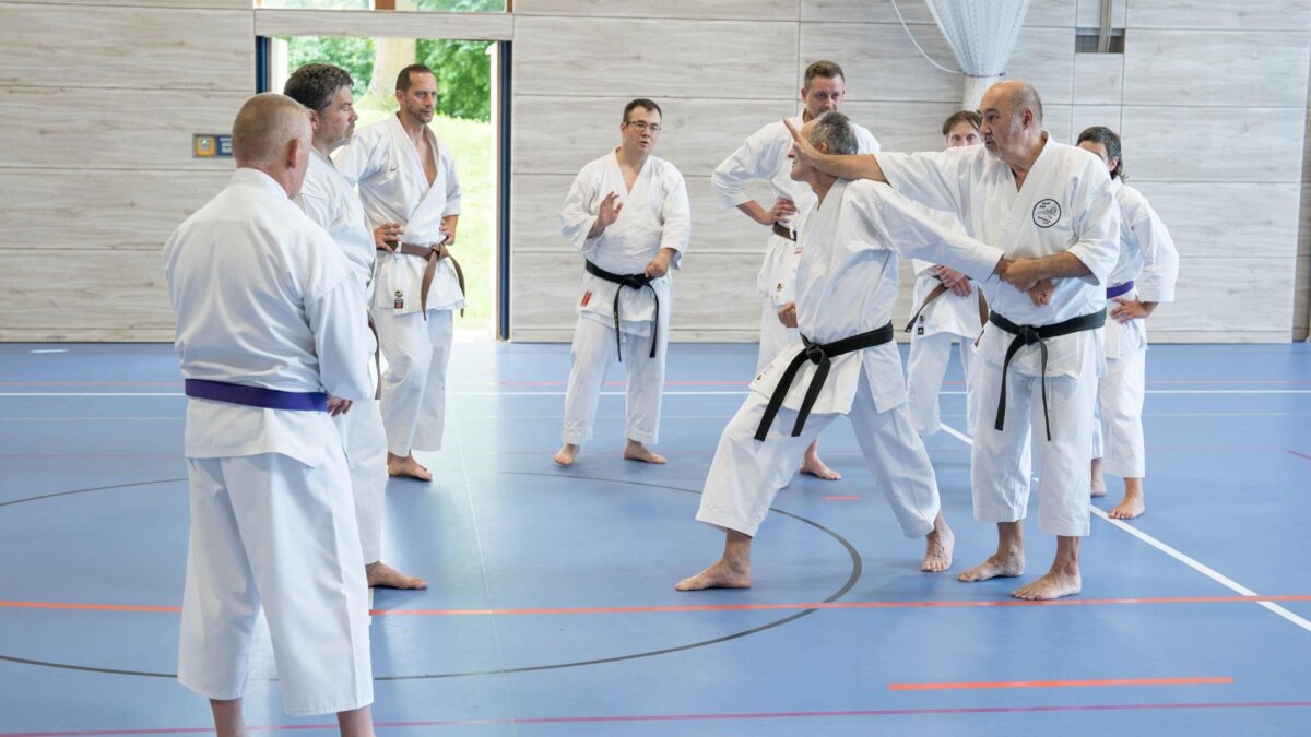Karate Dojo Vohenstrauß feiert erfolgreichen Lehrgangstag