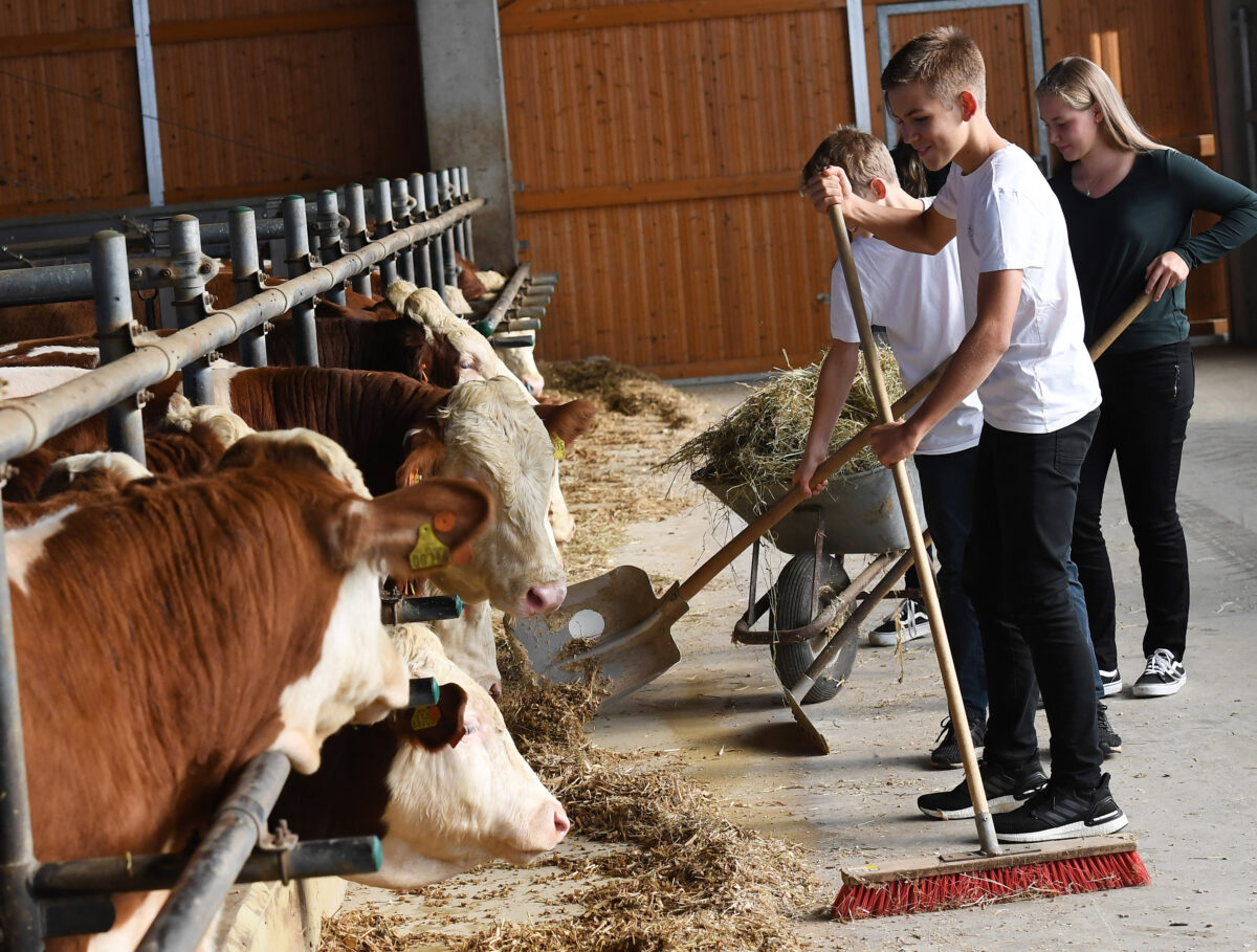 Bildungskurse für Landwirte ab sofort buchbar