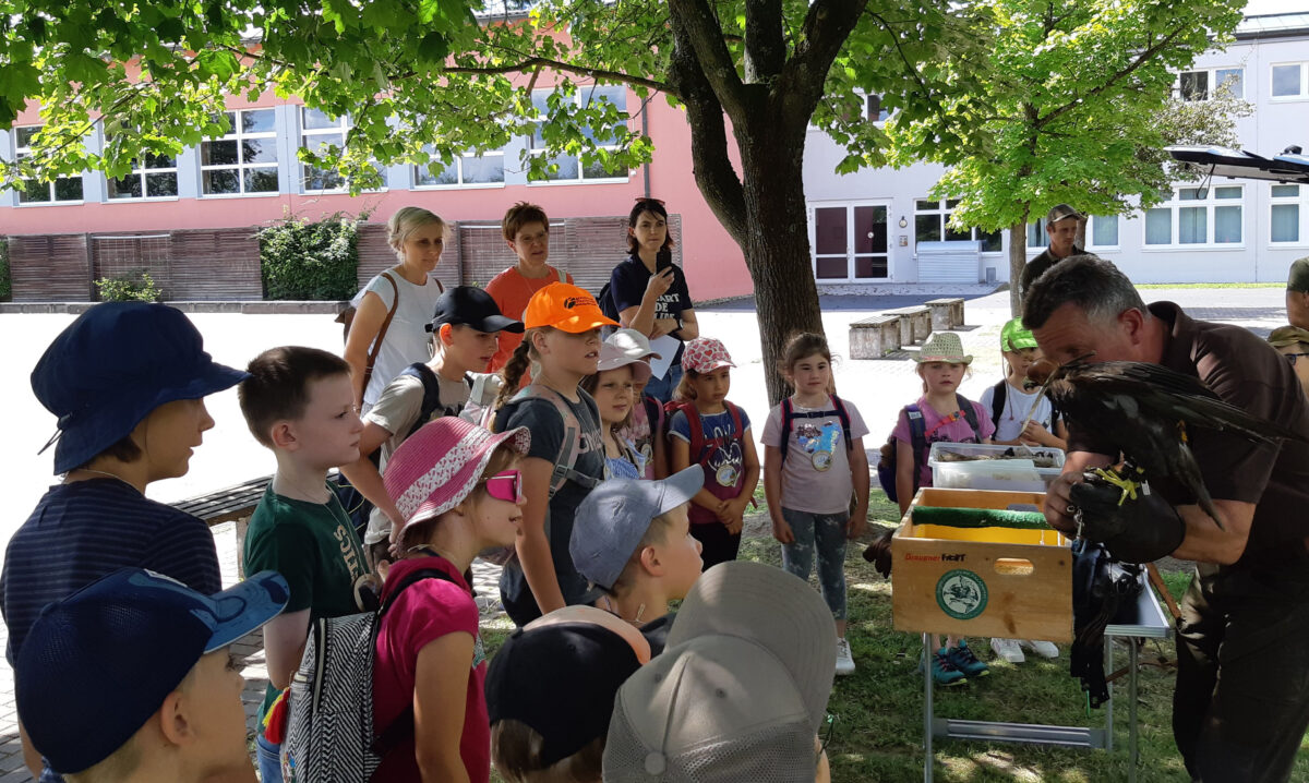 Waldexpedition 2024 – ein spannender Tag im Grünen