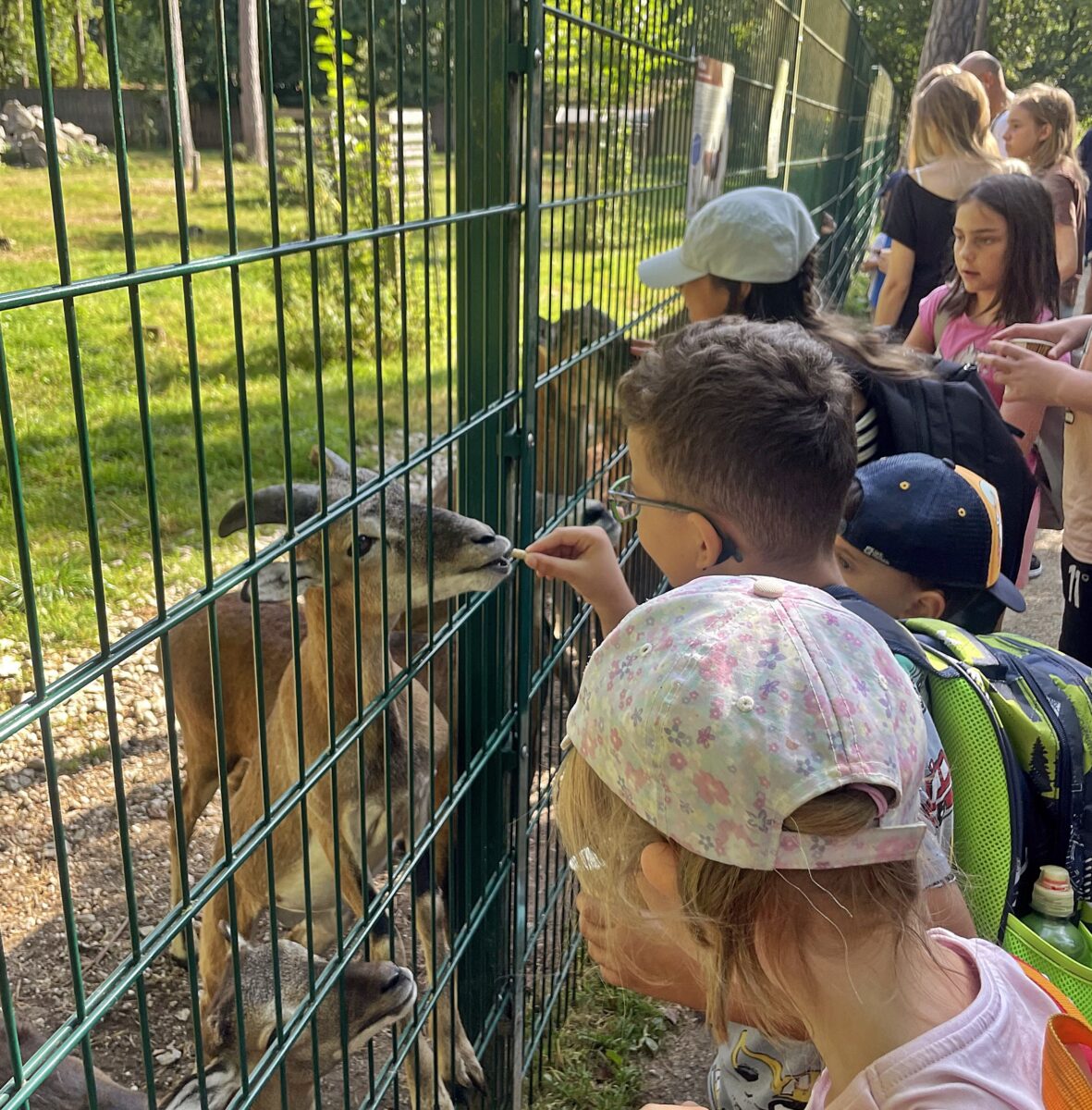 AWO-Ferienende mit fröhlichem Wildparkausflug in Weiden