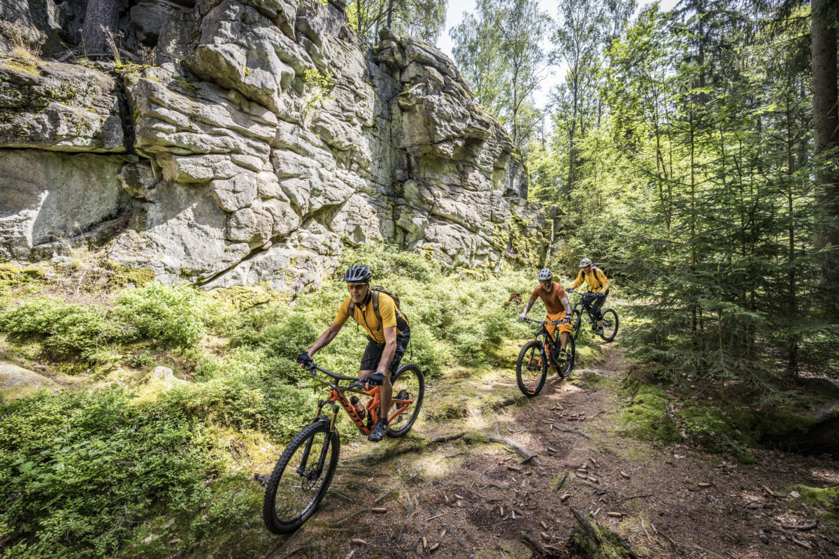 Steinwald-Trails: Neues Mountainbike-Paradies eröffnet