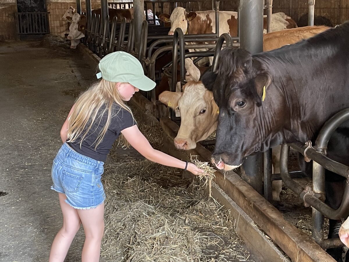 Kinder spielerisch auf dem Bauernhof