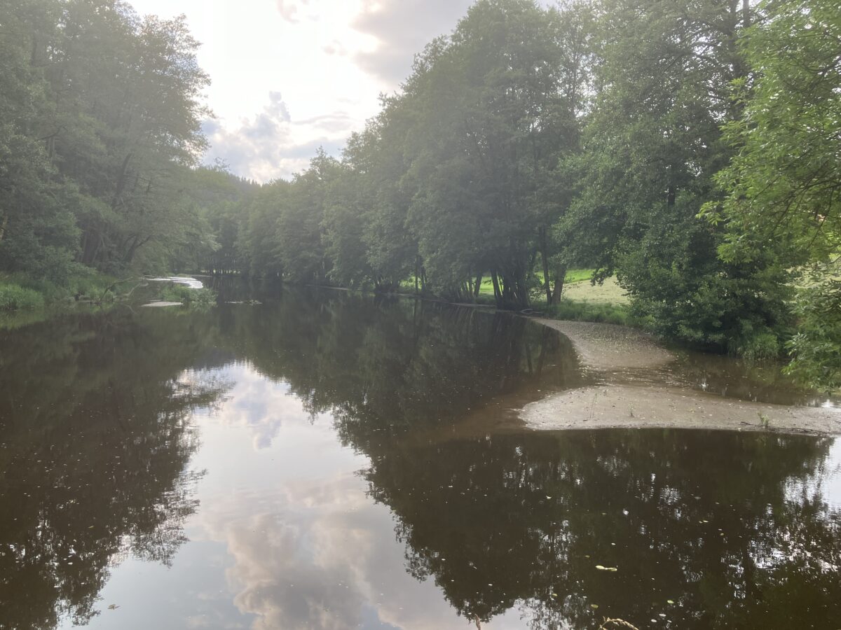 Geschützter Fluss durch Sanierungsarbeiten an Talsperre geschädigt