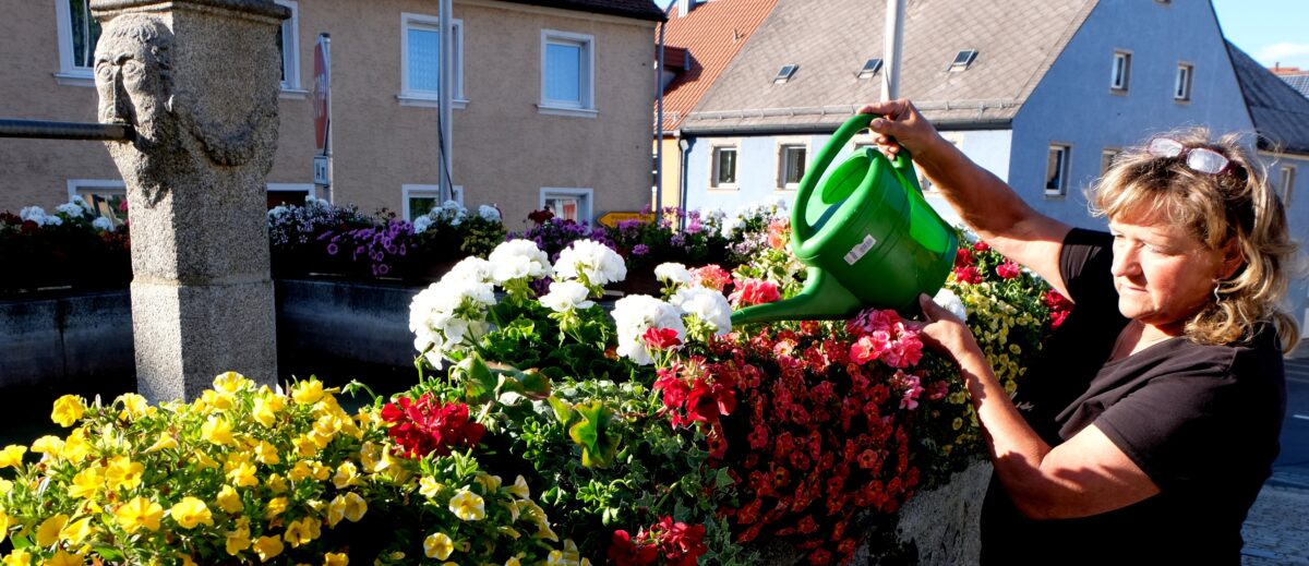 „Aktion Floß blüht auf“ – Blumen- und Anlagenpflege hat hohen Stellenwert