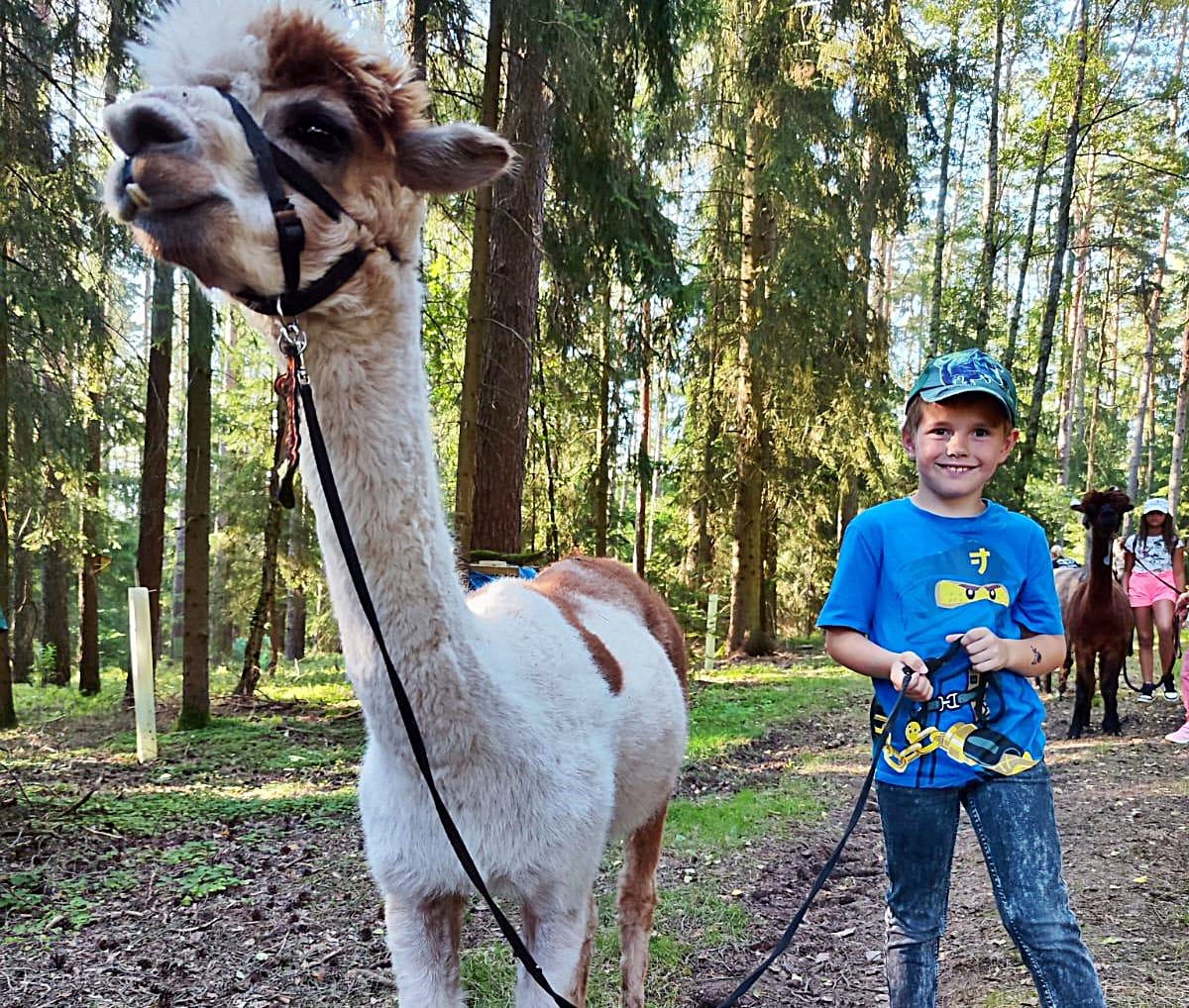 Schirmitz‘ Kinder auf Entdeckungstour mit Alpakas