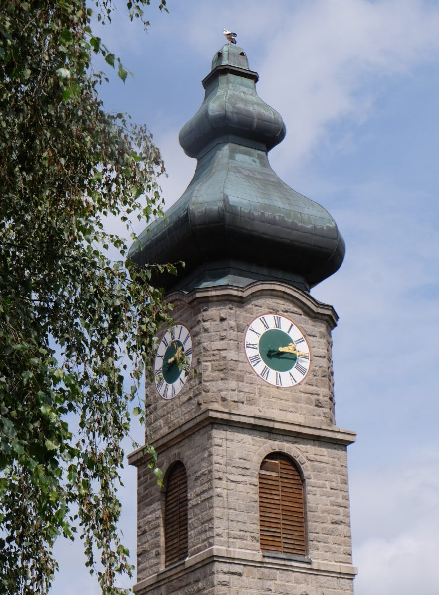 Störche erkunden Floßer Kirchturm