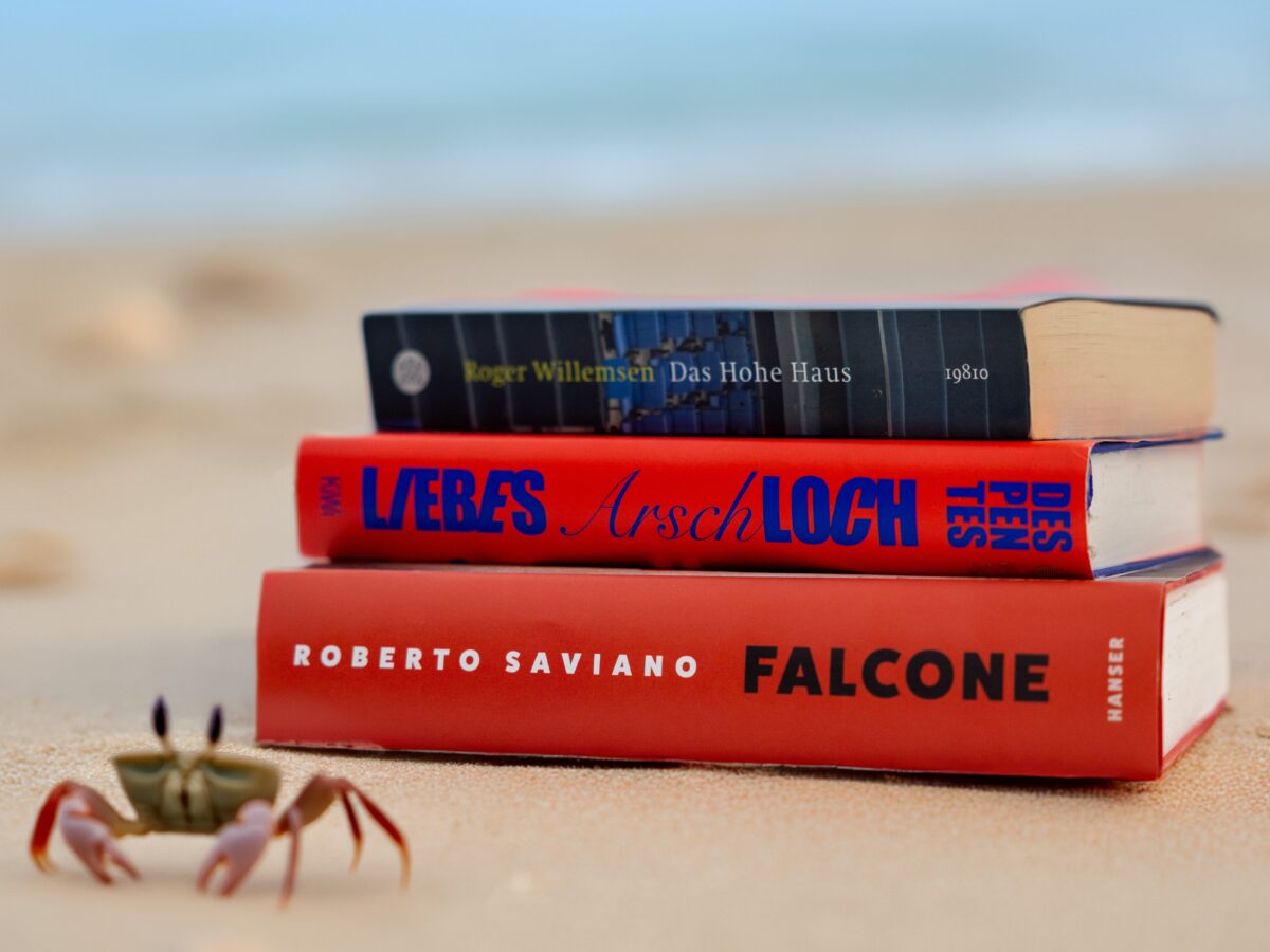 BücherECHO: Leises Seitenrascheln am Strand – Urlaub für die Ohrwaschel …