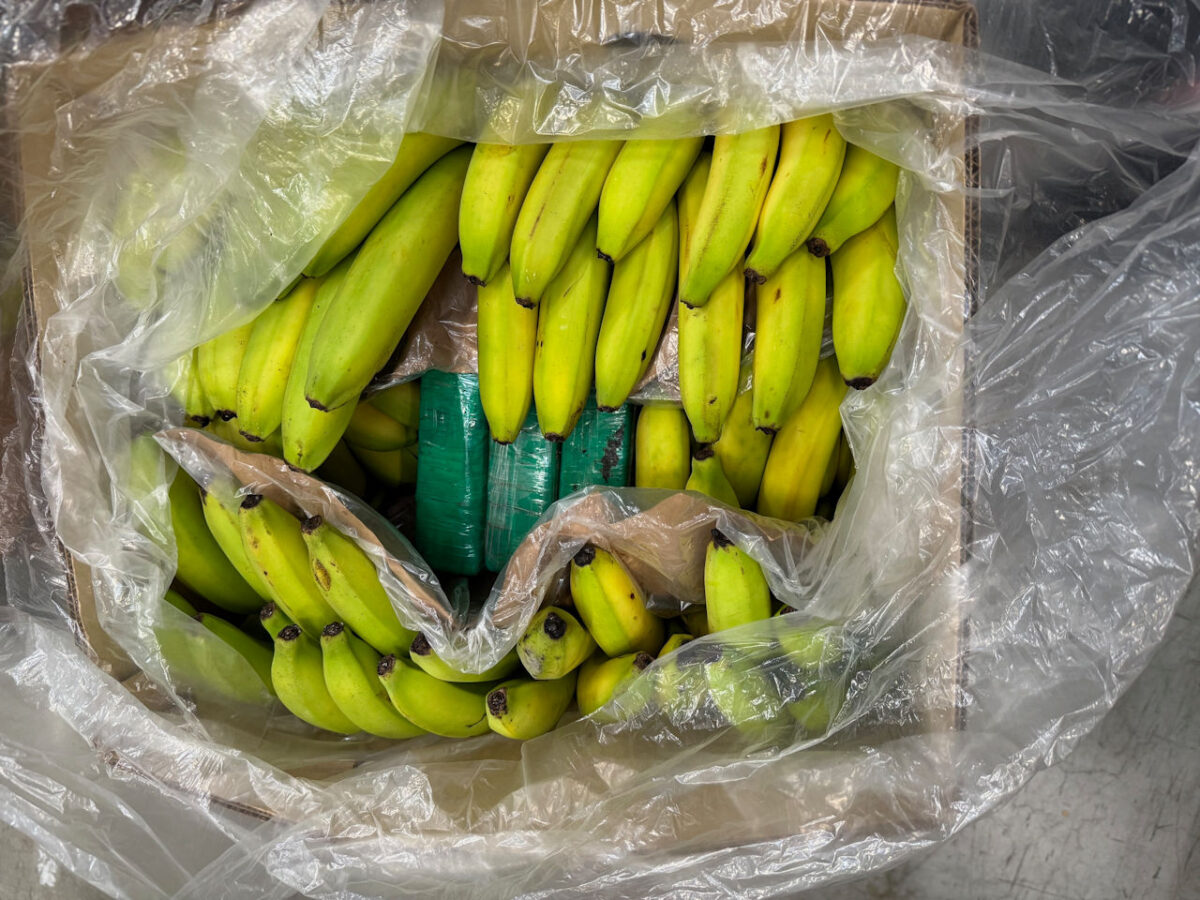 Wenn der Postmann zweimal klingelt:  Oberpfälzer lässt sich Kokain per Paket liefern