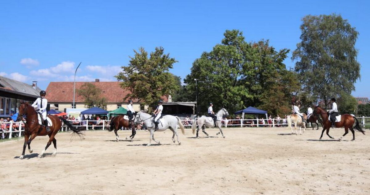 Reitfest Guttenthau – akrobatisch, rassig, rockig, rasant und bunt