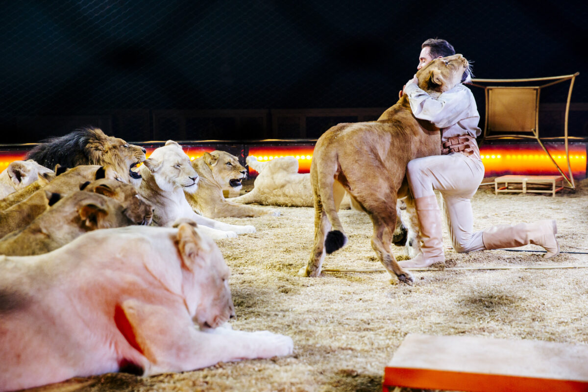 Circus Krone kommt in die Oberpfalz