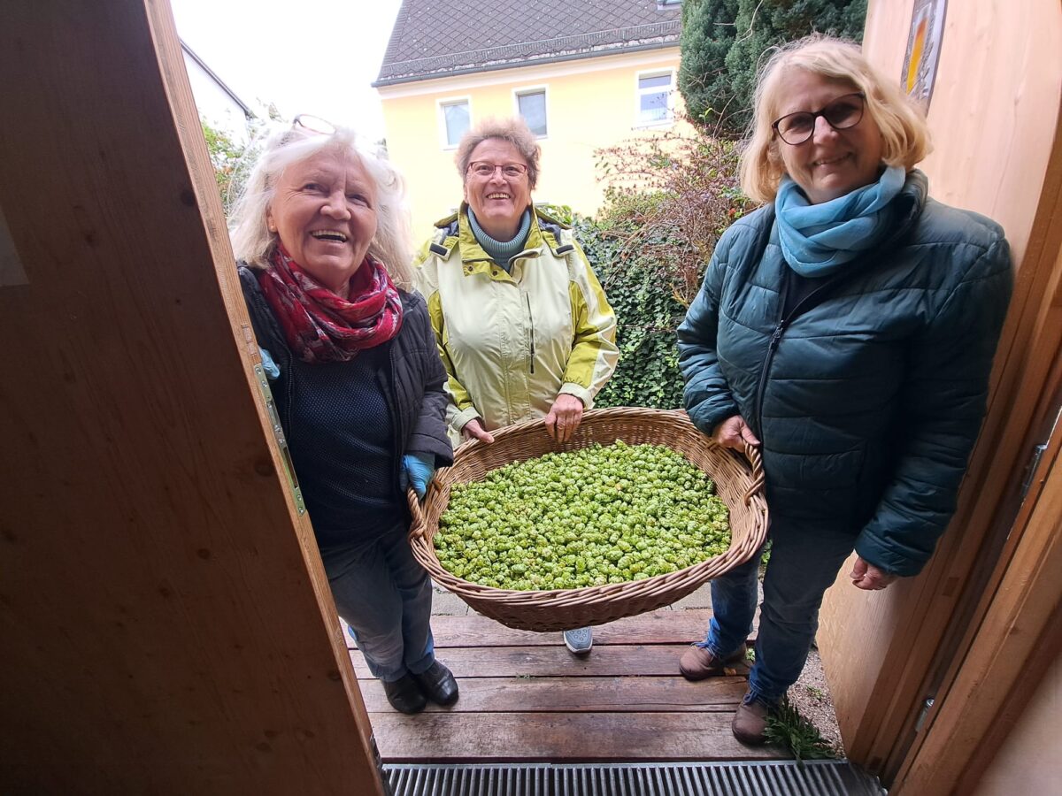 Eschenbacher Vereine brauen einzigartiges Grünhopfenbier