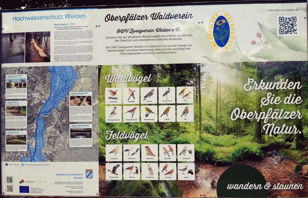 Info-Tafel in Weiden verbindet Naturschutz und Hochwasserschutz