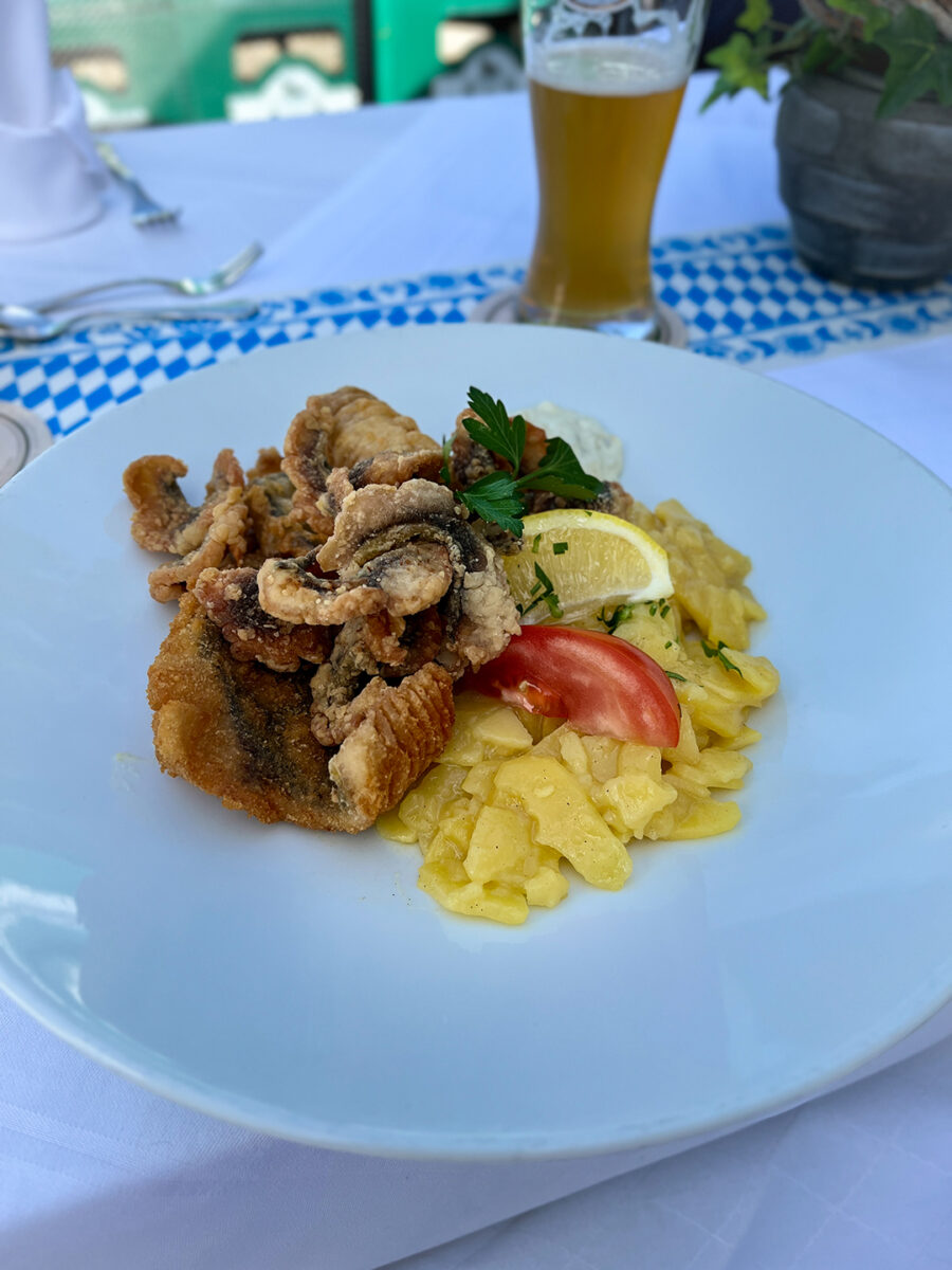 Karpfensaison 2024 im Oberpfälzer Seenland erfolgreich gestartet
