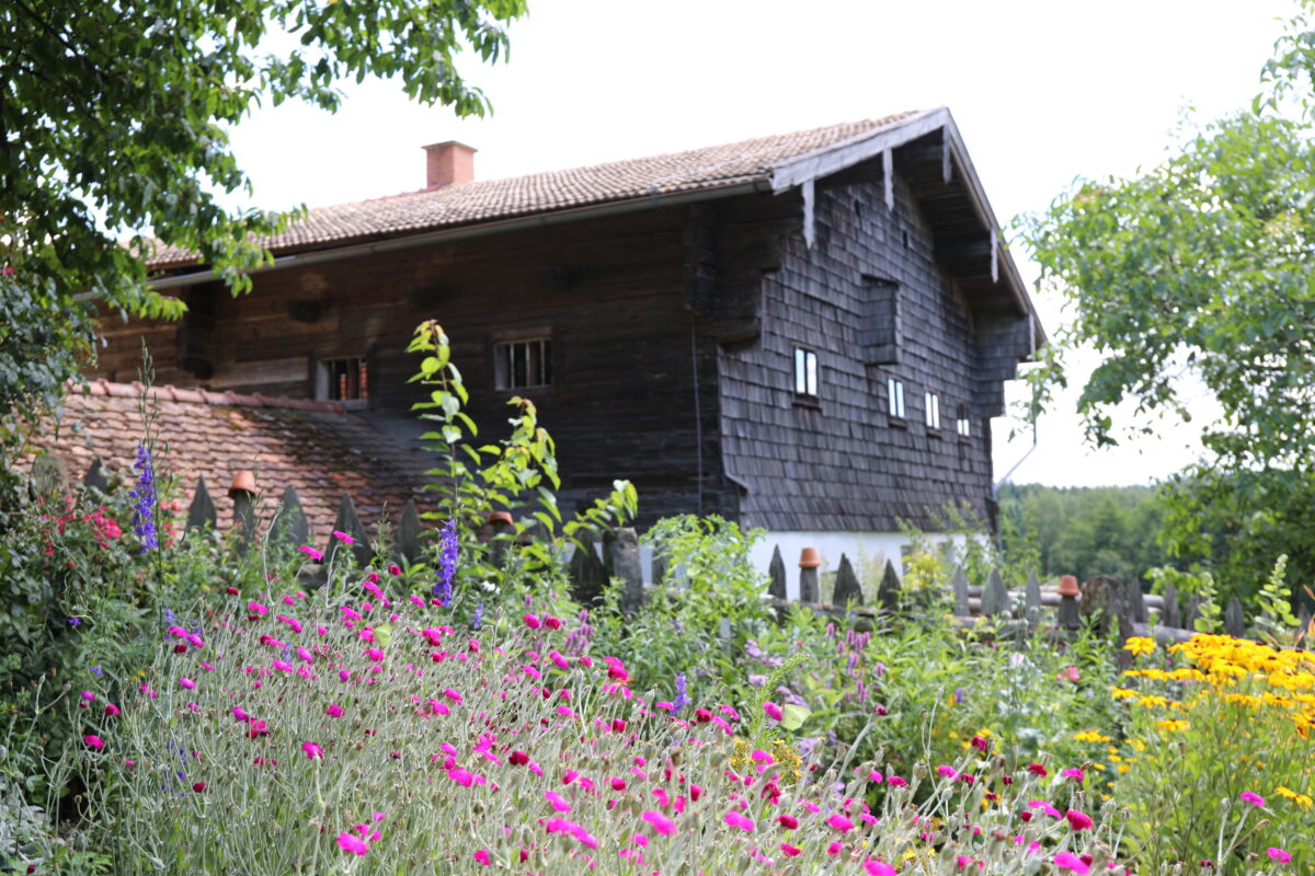 Gartentag und Getreidedreschen im Freilandmuseum