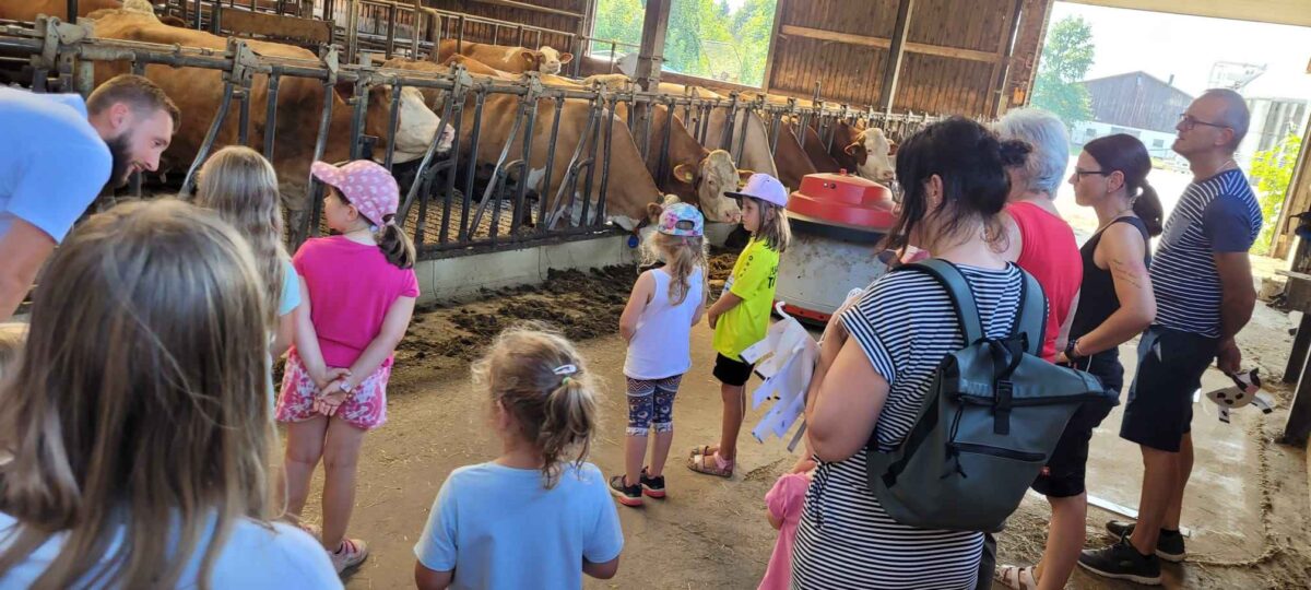 Ferienprogramm auf dem Bauernhof: „Auf Du & Du mit Natur & Kuh“