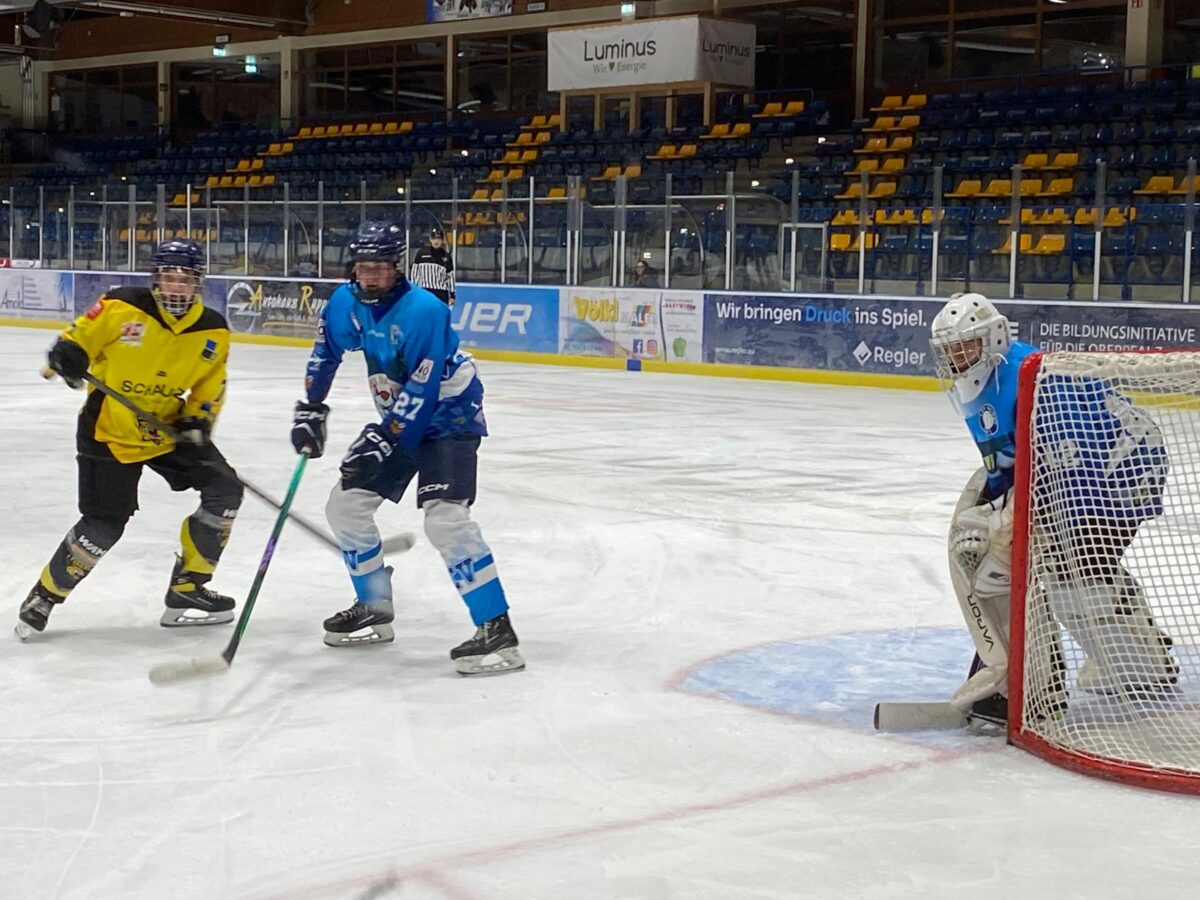 Auch der Devils-Nachwuchs startet wieder