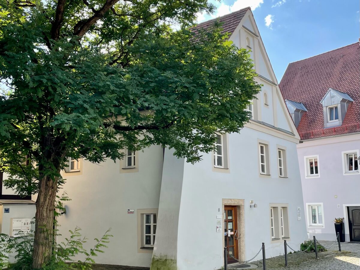 Weiden gedenkt Holocaust-Opfern mit weiteren Stolpersteinen