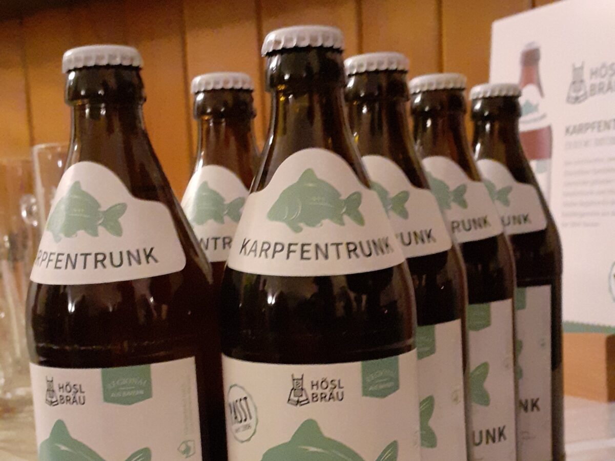 Bernsteinfarben, würzig und erfrischend – der Karpfentrunk 2024