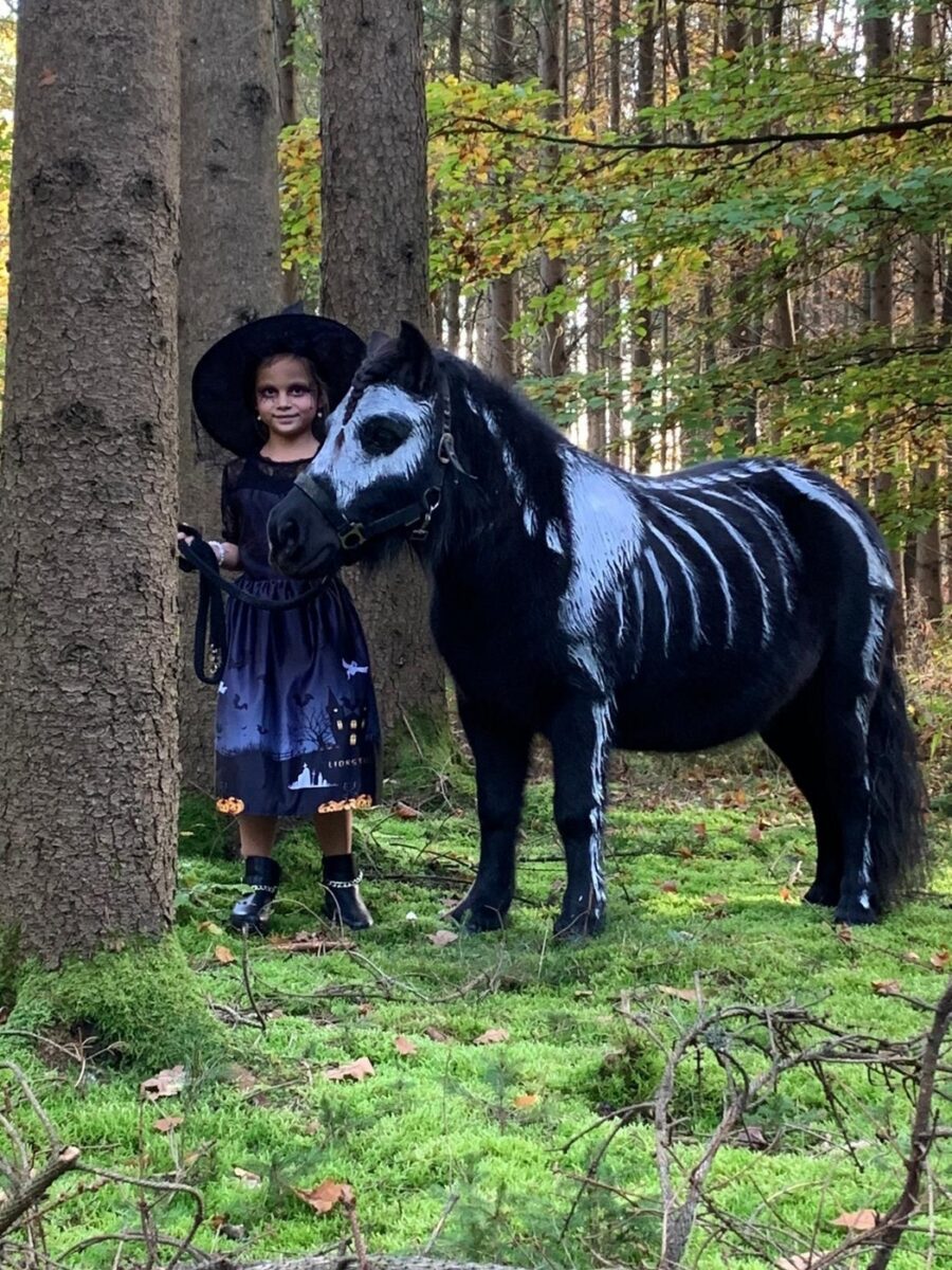 Grusel und Spaß: Herbstferienprogramm in Burglengenfeld