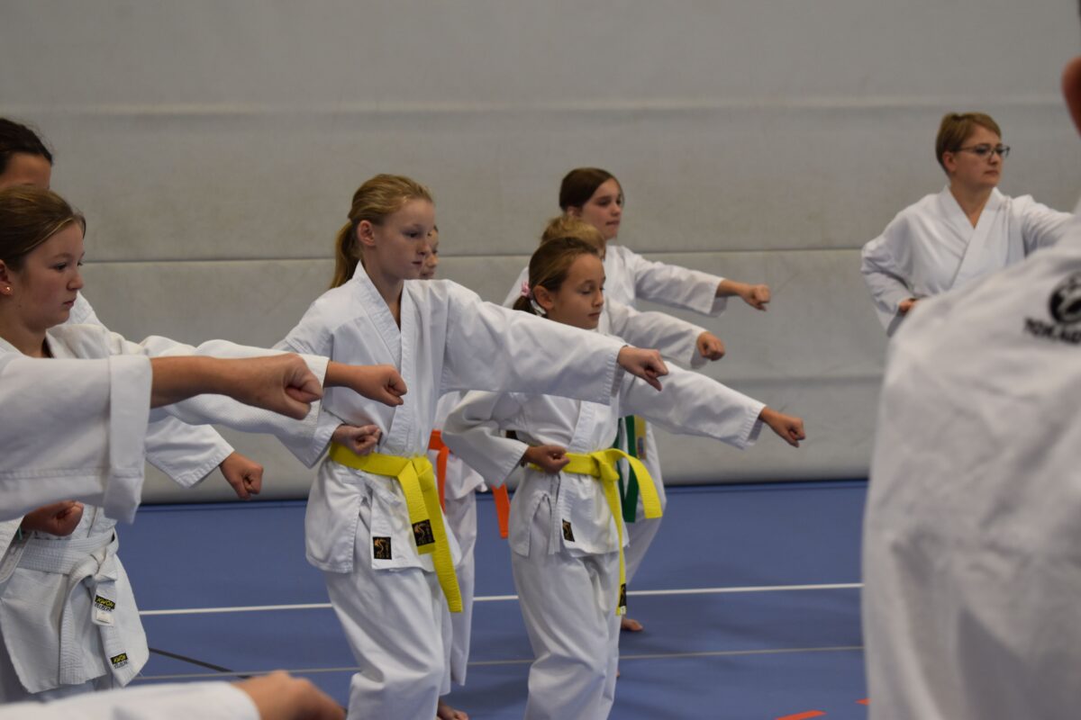 Karate-Lehrgang in Vohenstrauß begeistert junge Karateka