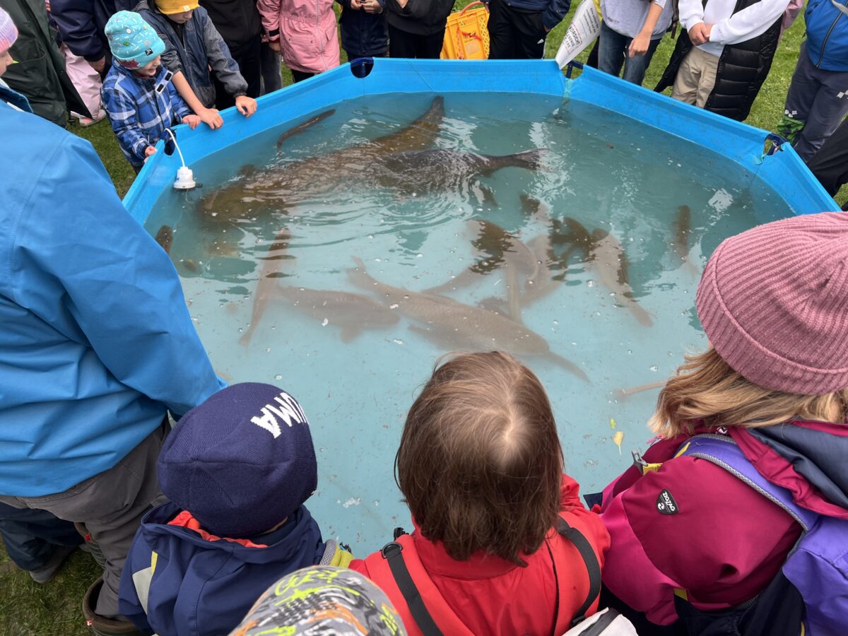 Schüler erleben Natur beim Abfischen am Rußweiher hautnah