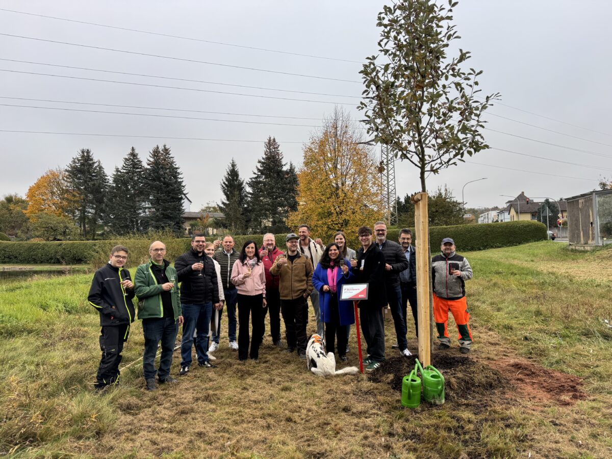 Weidener Unternehmer pflanzen Baum des Jahres