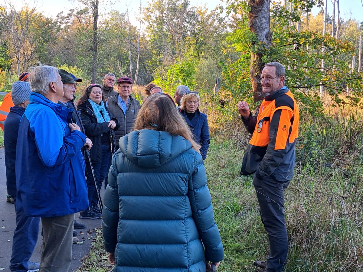 Weidens Stadträte erkunden lokale Waldprobleme